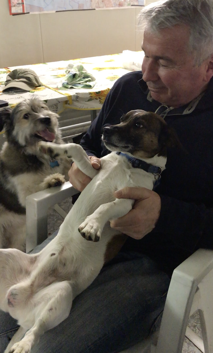 Schermata 2020 01 01 alle 21.58.44